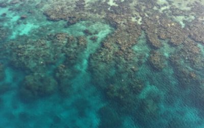 Trip to the Caribbean